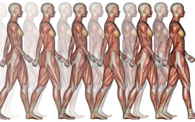 Analisi posturale: prevenzione, controllo e intervento con BTS Engineering Gait Lab